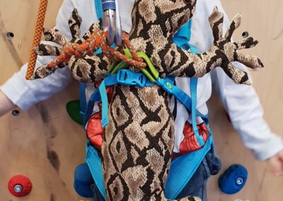 Felix Wird Beschützt Vom Salamander